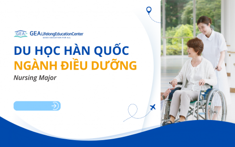 DU HỌC HÀN QUỐC NGÀNH ĐIỀU DƯỠNG 